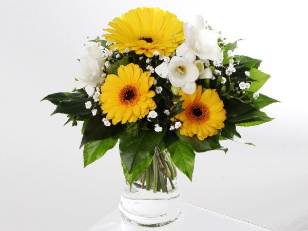 Kevätterveisin